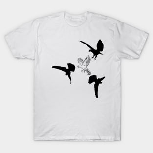 Bird of Prey T-Shirt